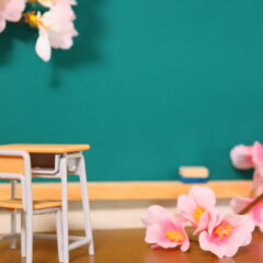 入学式で撮影する際の最低限のマナーやポイントをご紹介！