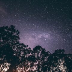 一眼レフでの星空の撮り方｜星空撮影は初心者でも簡単？