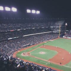 プロ野球観戦で初心者におすすめの席は？選び方も紹介